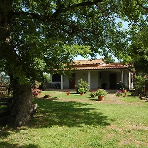 agriturismo-san-vincenzo.it-tuscanyhotel.com/